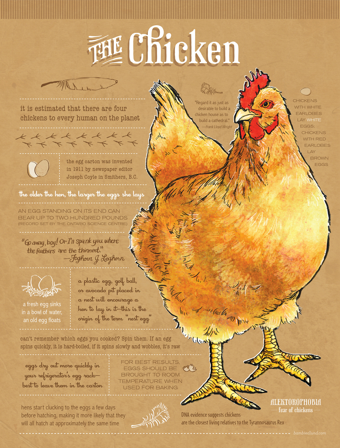 chicken edible ink illustration by Bambi Edlund